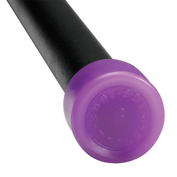 Body-Solid Tools 6lb. Fitness Bar - Lt. Purple